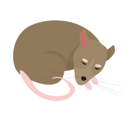 Sleeping mouse cartoon clipart
