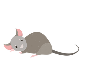 Free mouse clipart