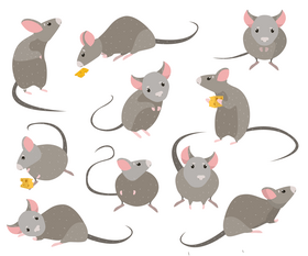 Cartoon mouses vector