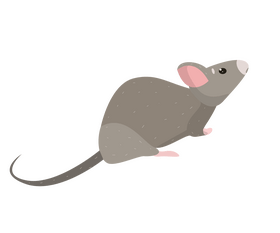 Mouse clipart