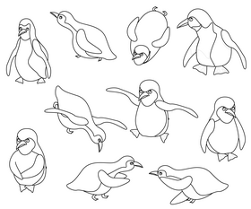 Penguins black and white vector