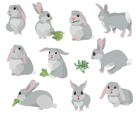 Bunnies, baby rabbits vector
