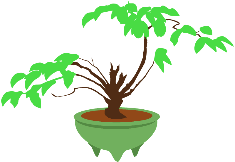 Serene Bonsai Tree in Elegant Pot PNG