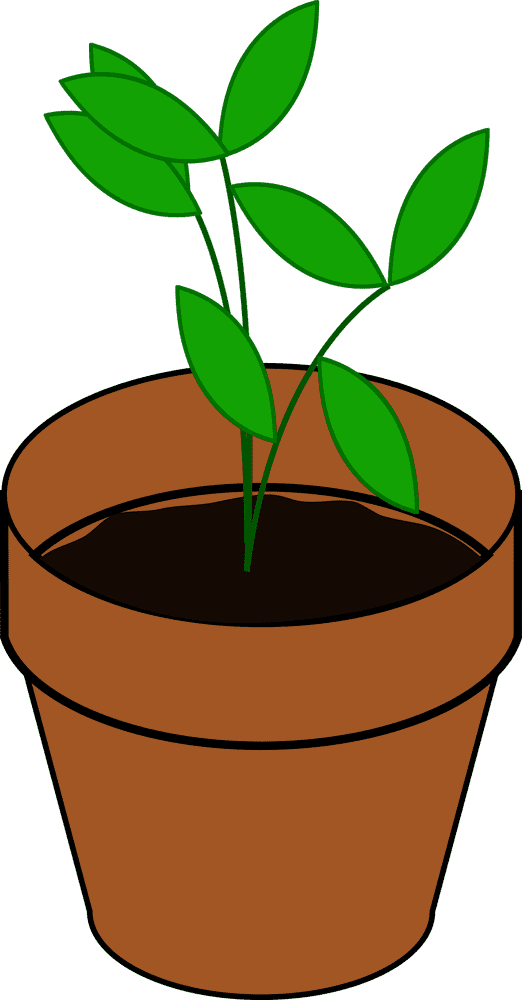 Simple Green Plant Pot with Fresh Leaves PNG