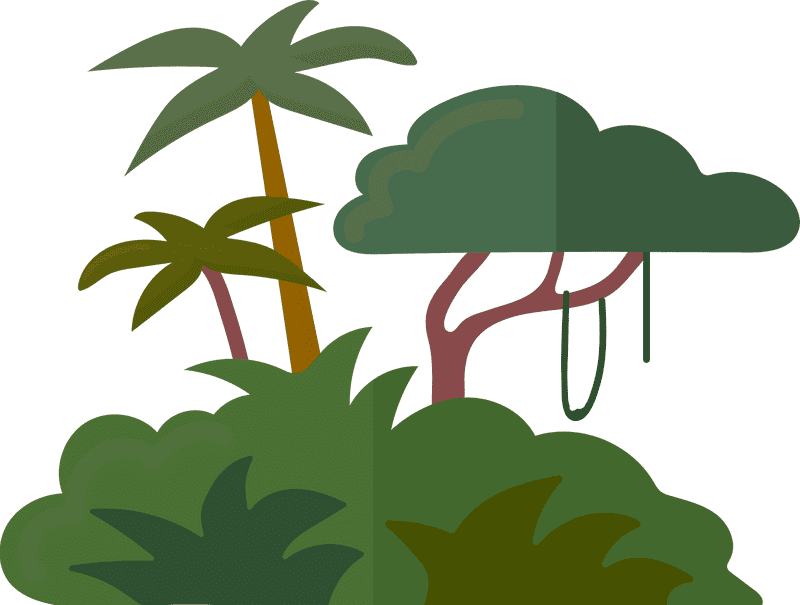 Adventure Awaits on the Jungle Trail PNG