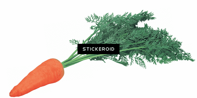 Delightful Carrot Cake with Fresh Carrot Garnish PNG