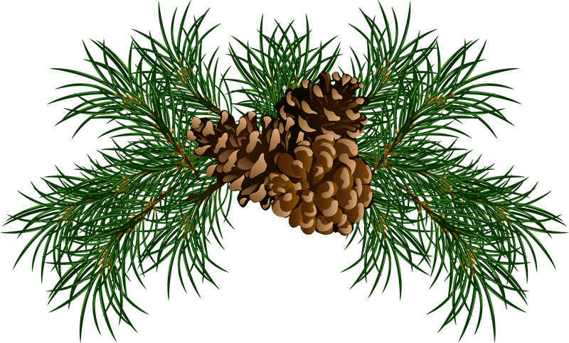 Elegant Pine Cone Arrangement with Pine Needles PNG
