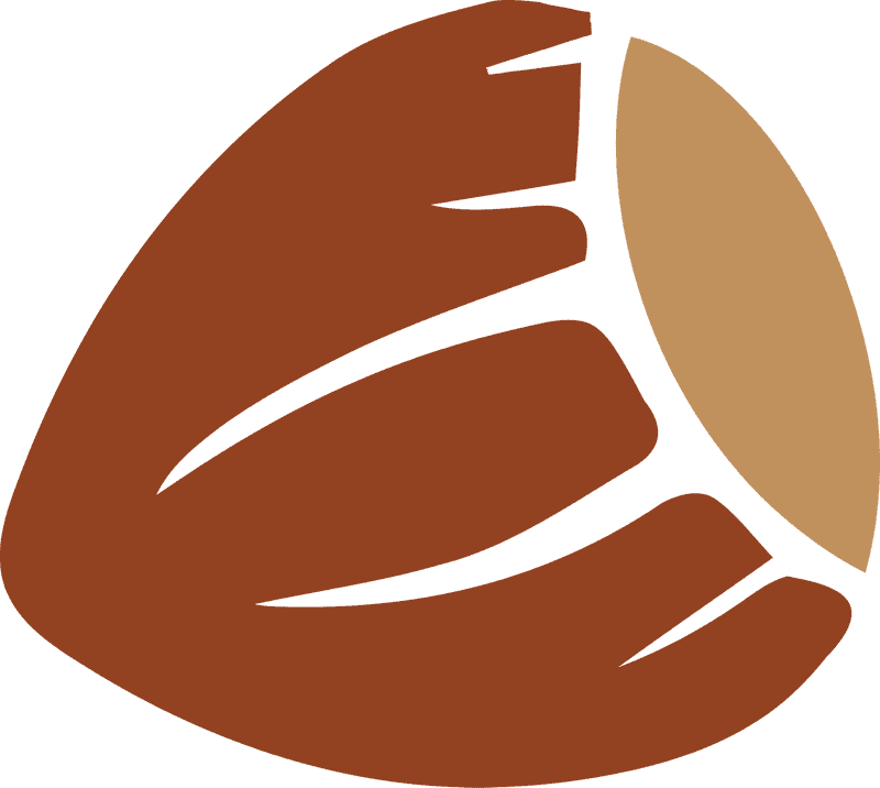 Hazelnut Delight A Taste of Nature's Richness PNG