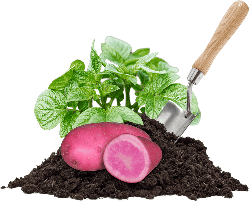 Compost Bin Nurturing Healthy Roots for Sustainable Gardening PNG