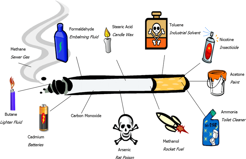 Whispers of Poison A Toxic Encounter PNG
