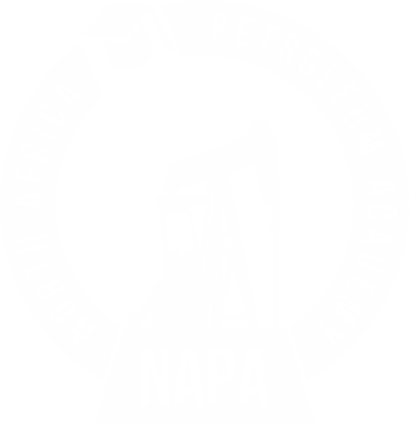 North Africa Petroleum Academy Training for Future Energy Leaders PNG