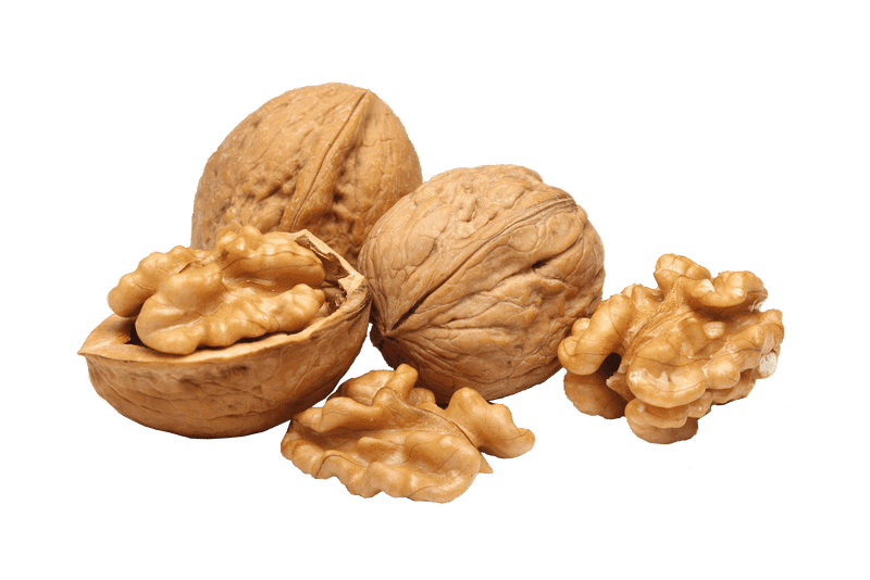 Nutty Delights The Walnut Wonderland PNG