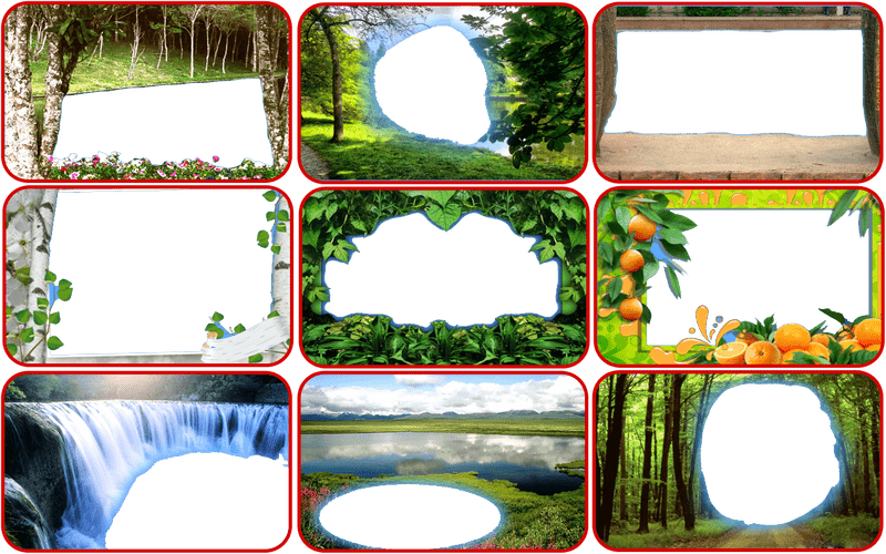 Nature-Inspired Photo Frame Collection PNG
