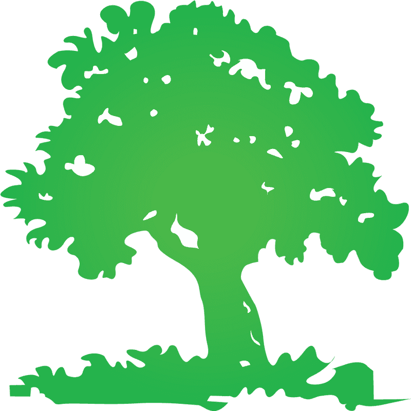 Lush Green Tree of Life PNG