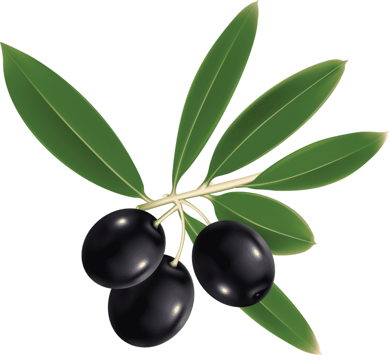 Pure Essence of Olive Oil PNG
