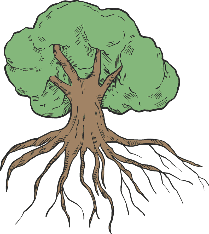 Whimsical Ginger Root Tree Illustration PNG