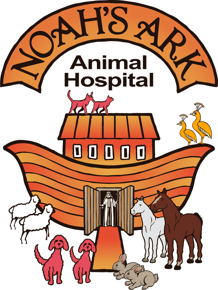 Noah's Ark Animal Hospital Adventure PNG