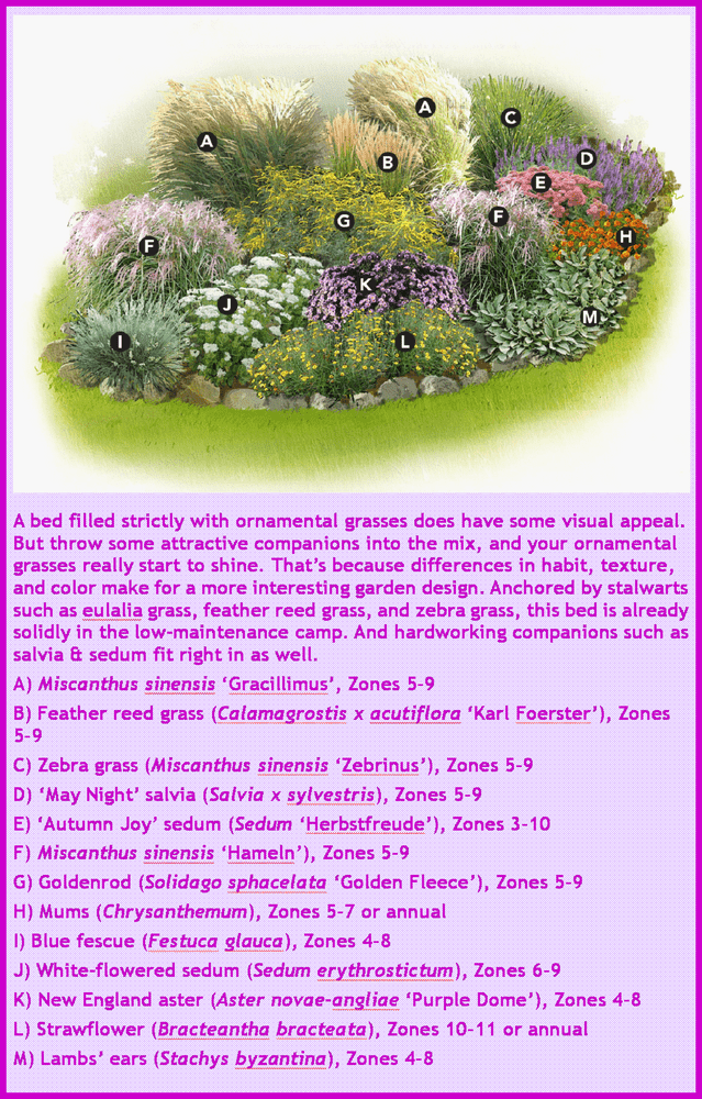 Vibrant Vegetable Garden Oasis of Color PNG