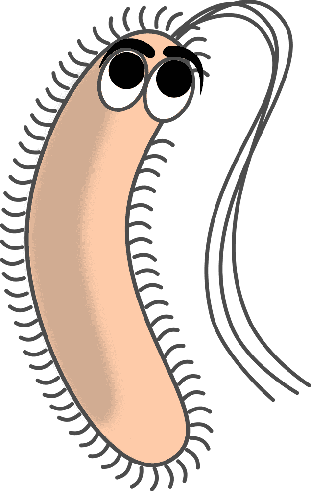 Friendly Bacteria The Animated Microbial Guide PNG