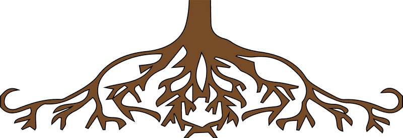 Ginger Root Nature’s Healing Underground Network PNG