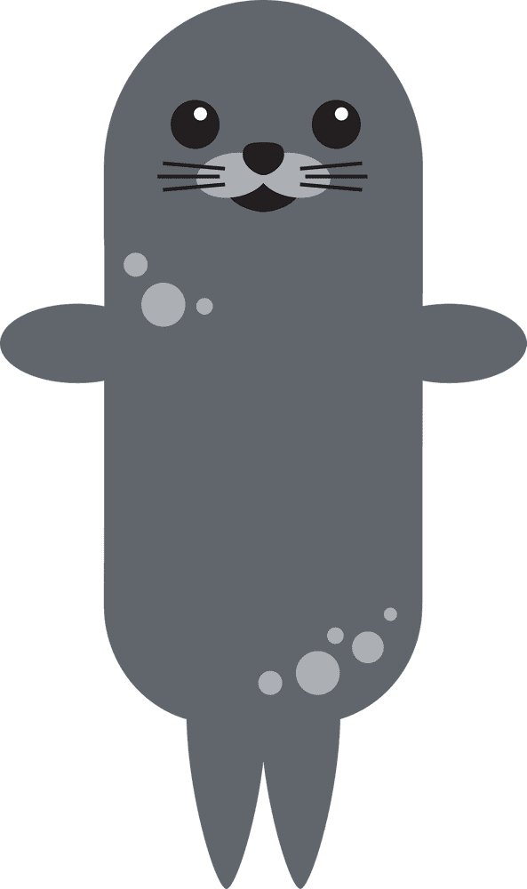 Happy Harbor Seal PNG