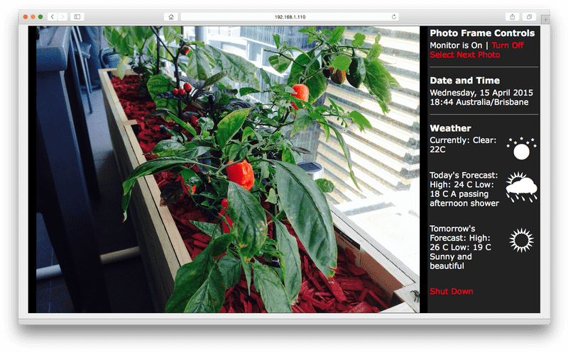 Vibrant Greenhouse Garden Oasis PNG