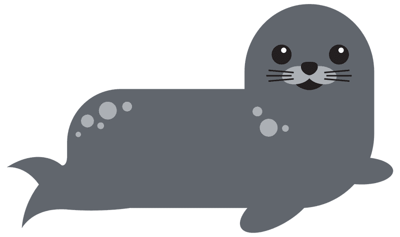 Happy Harbor Seal PNG