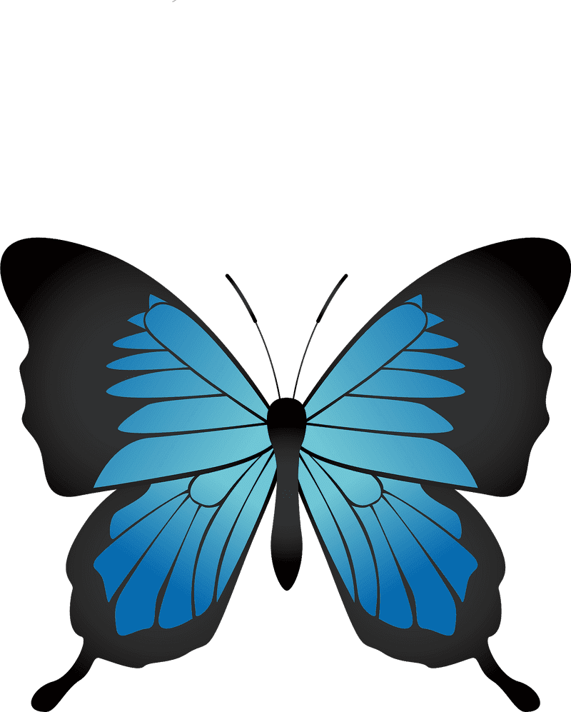 Elegant Blue Insect Butterfly Design PNG