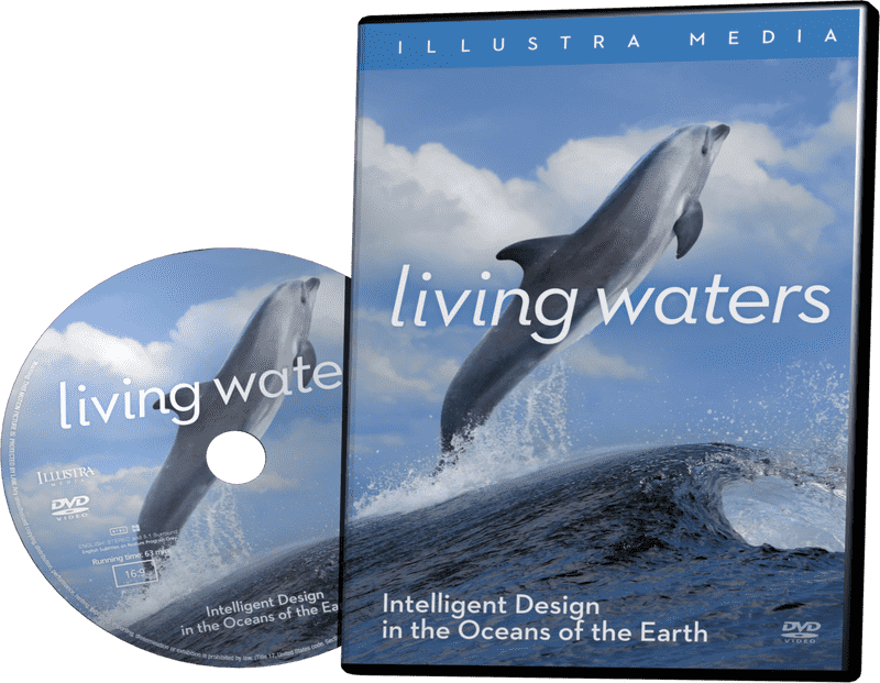 Ocean Wave Serenity A Journey Through Nature's Majesty PNG