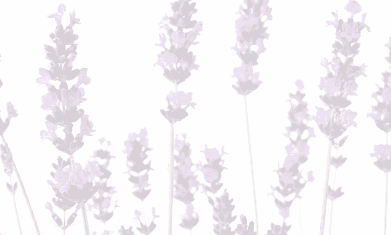Serenity in the Lavender Field PNG