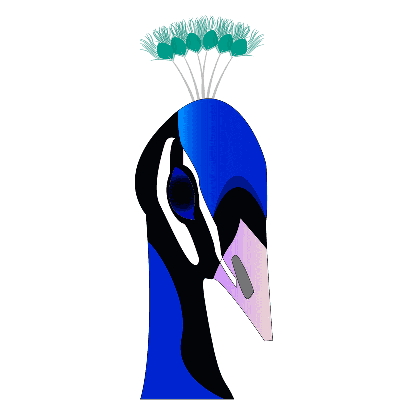 Majestic Peacock with Colorful Crest PNG
