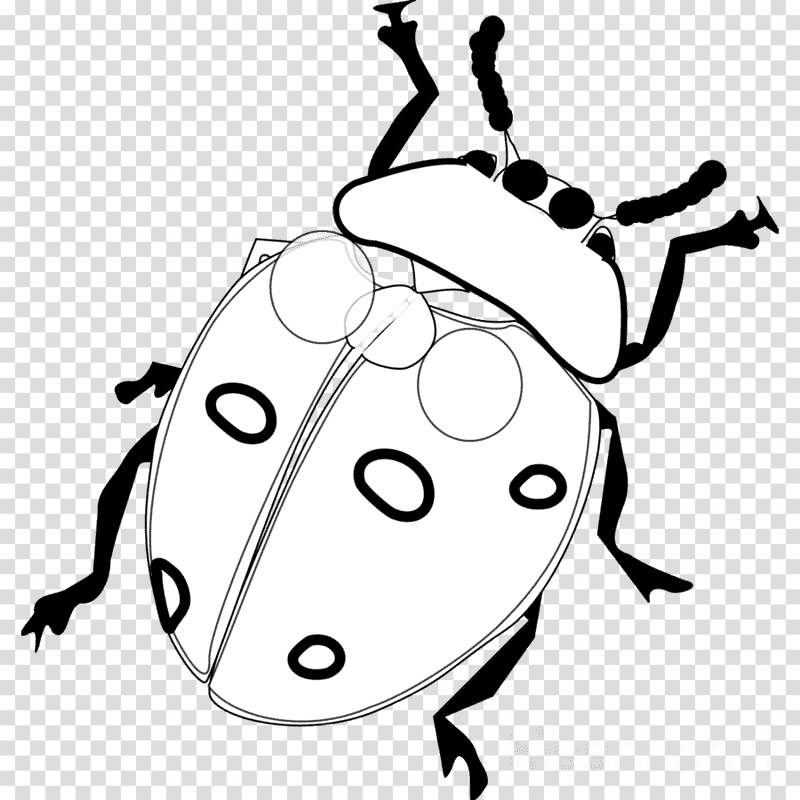 Ladybug Nature's Tiny Red Marvel PNG