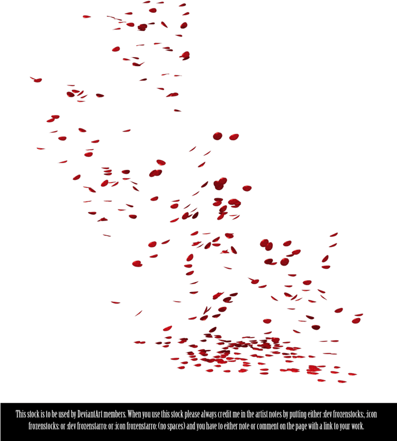 Whispers of Rain Petals Dancing in the Storm PNG