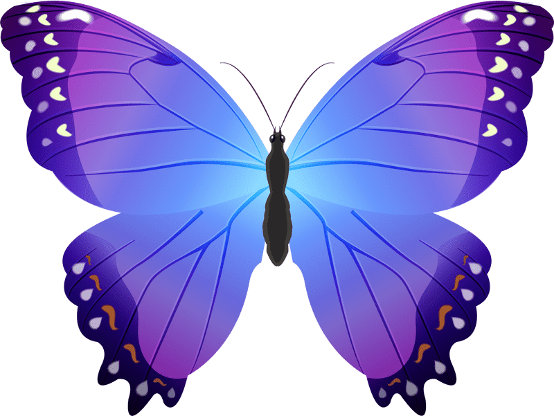 Enchanting Butterfly with Purple Grapes Hues PNG