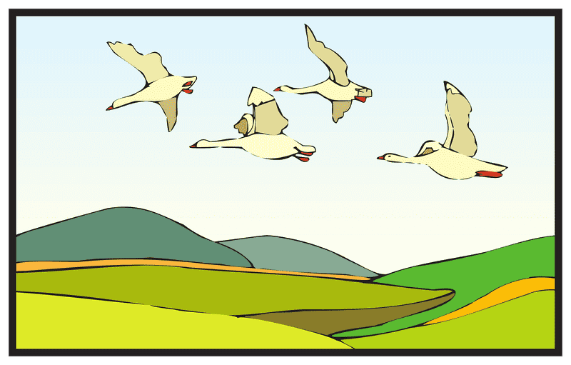 Kayak Adventure with Soaring Geese PNG