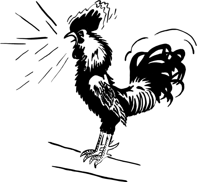 Charming Chicken Coop Haven for Happy Hens PNG