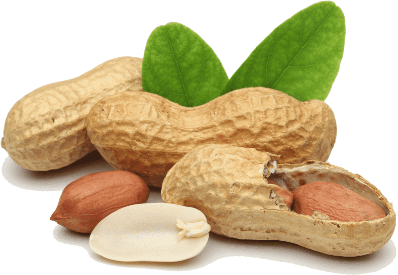 Natural Goodness of Peanut Butter Jar Ingredients PNG
