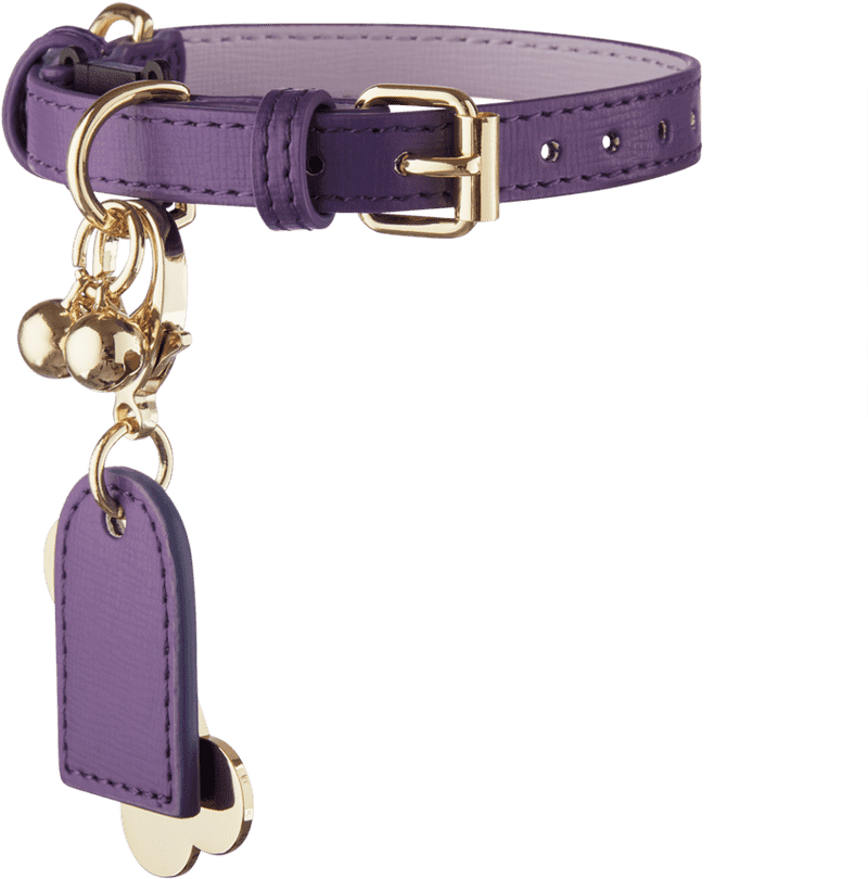 Stylish Purple Pet Collar with Charm Accessories PNG