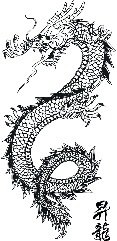 Chinese Dragon Symbol of Strength and Wisdom PNG