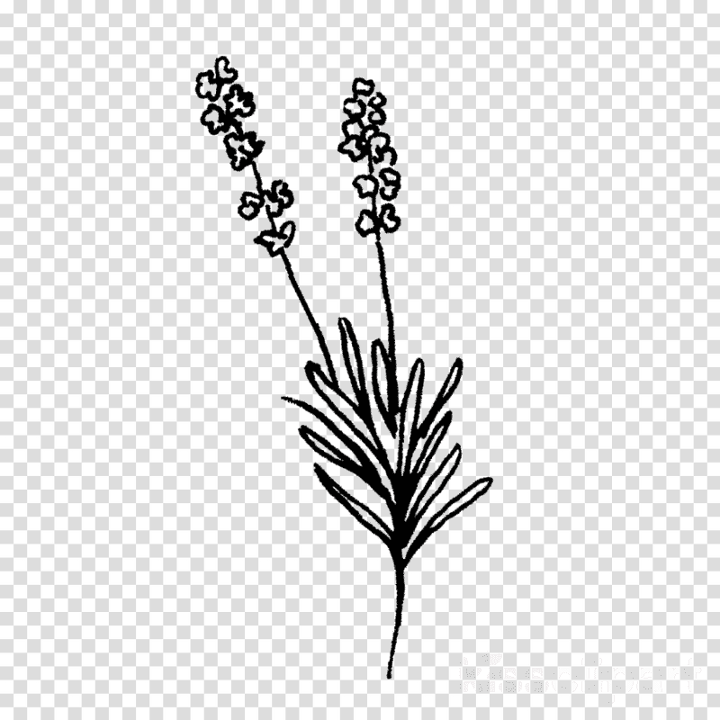 Lavender Floral Rubber Stamp Design PNG
