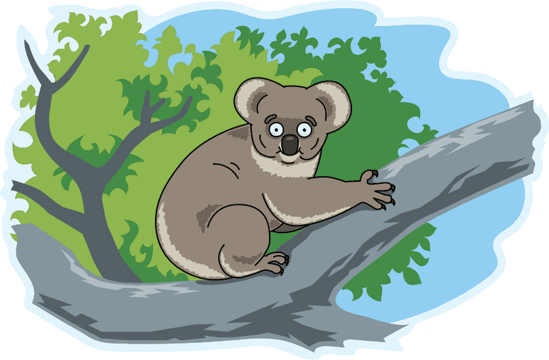 Charming Koala Bear in a Lush Tree Canopy PNG
