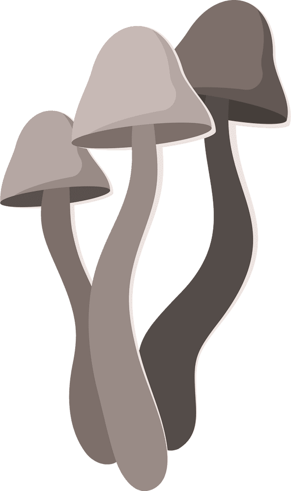 Elegant Mushroom Duo in Nature's Palette PNG