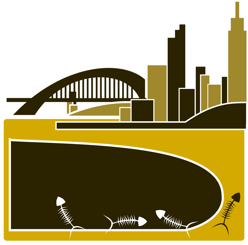 Urban Serenity The River Bridge Connection PNG