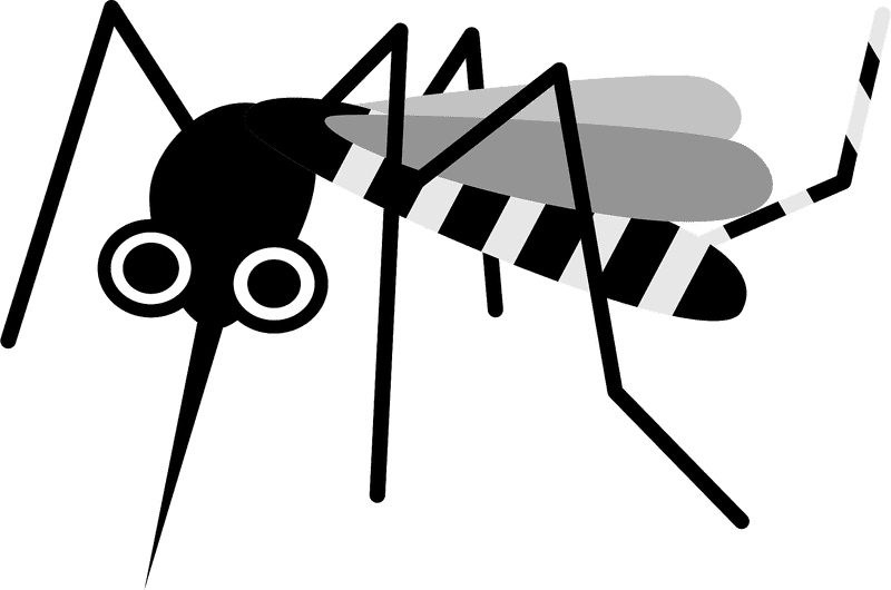Striking Black and White Insect Mosquito PNG