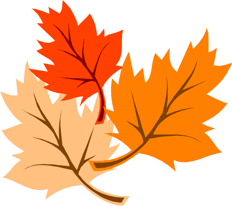 Efficient Leaf Blower for Autumn Cleanup PNG