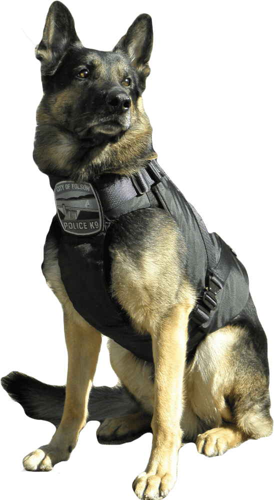 Heroic Service Dog in Tactical Gear PNG
