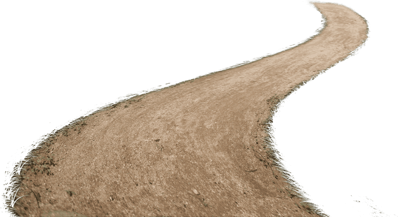 Winding Path Through the Nature Trail PNG