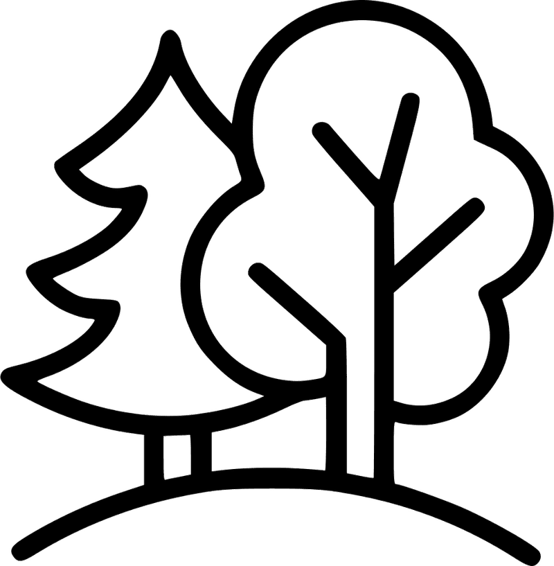 Whispers of the Enchanted Forest PNG