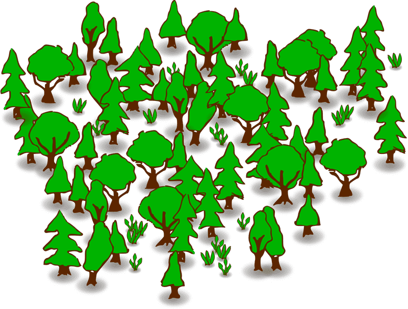 Lush Green Forest of Tranquility PNG