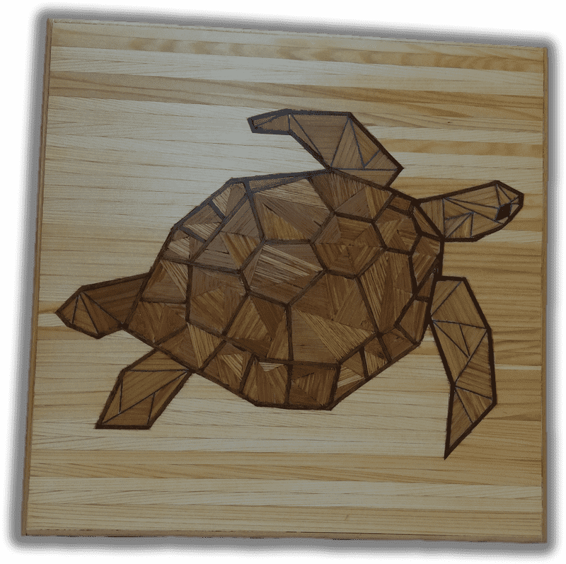 Desert Oasis Turtle Artistry PNG